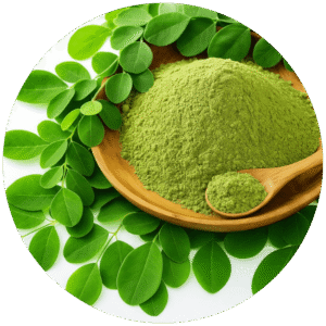 Moringa em pó