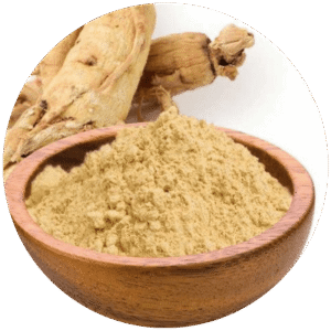 Ginseng em pó
